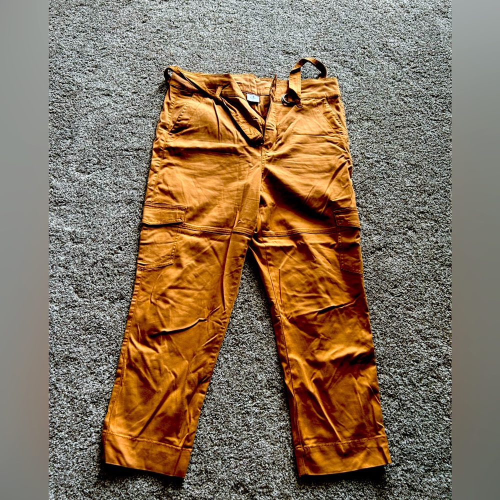 Cabi size 10 rust/brown toe waist pants